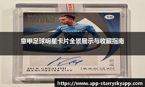 意甲足球明星卡片全景展示与收藏指南